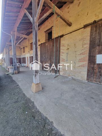 photo no. 7