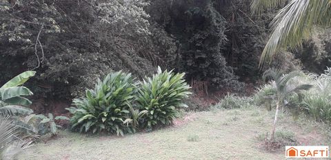 photo no. 8