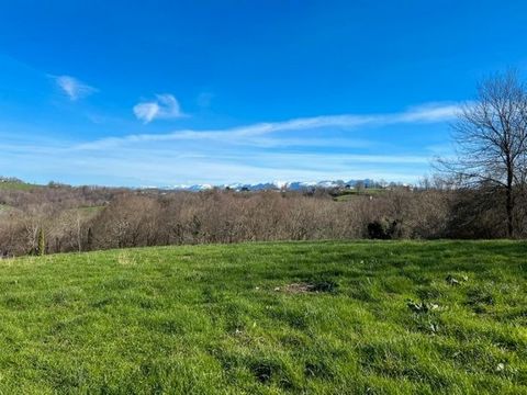 Beau et grand terrain dans coin de nature préservé