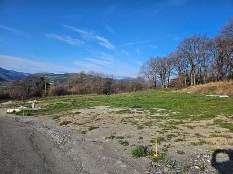 photo no. 2