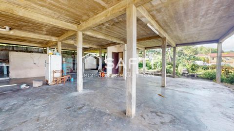 photo no. 13