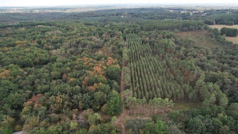 A VENDRE - Terrains forestiers de plus d'1ha à LUE (40)
