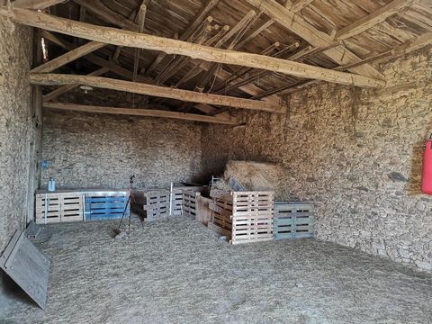 photo no. 6