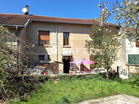 photo no. 19