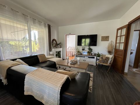 photo no. 11
