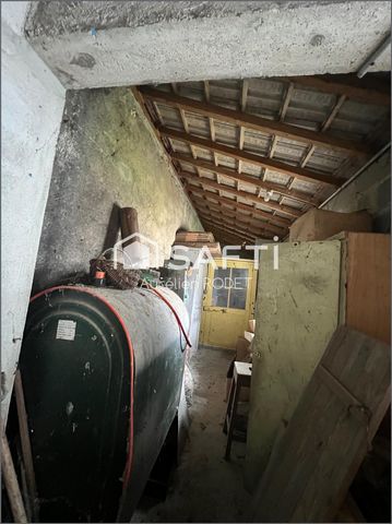 photo no. 6