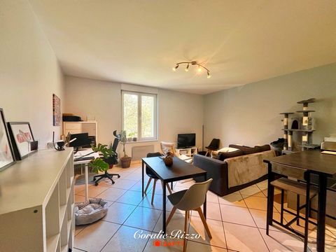 APPARTEMENT A LOUER - CREUTZWALD - PROCHE DU LAC