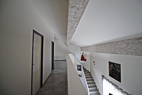 photo no. 11