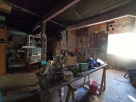 photo no. 12