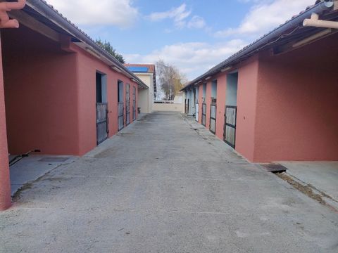 photo no. 6