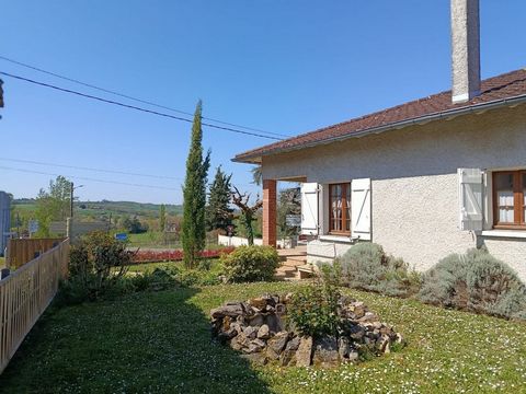 photo no. 12