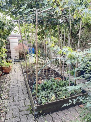 photo no. 11