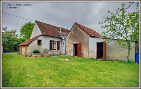 photo no. 1