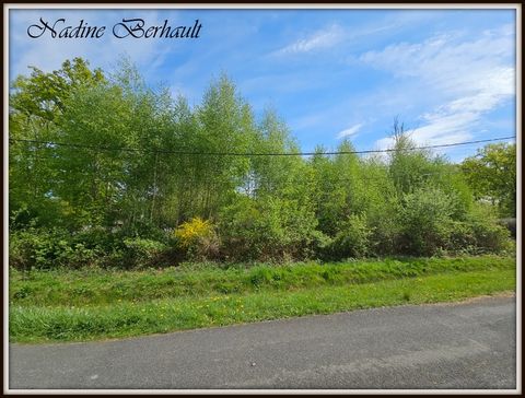 Terrain à vendre boisé CU OK ERVAUVILLE (45) 3921 m² en zone UC