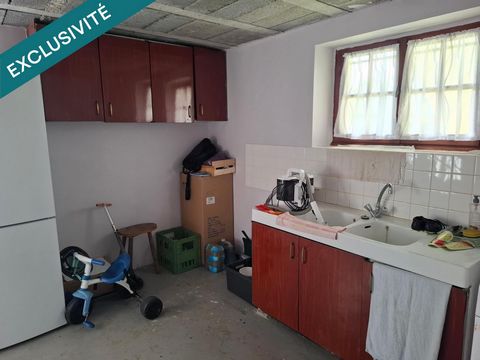 photo no. 11