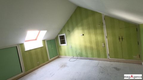 photo no. 12