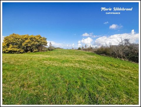 Terrain à Bâtir de plus de 2300m² proche de Moissac