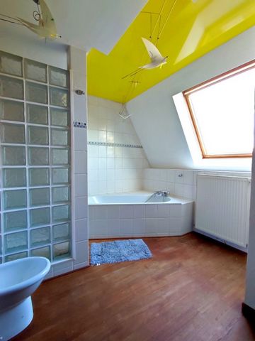 photo no. 11