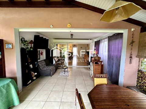 photo no. 10