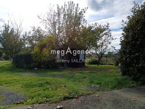 photo no. 12
