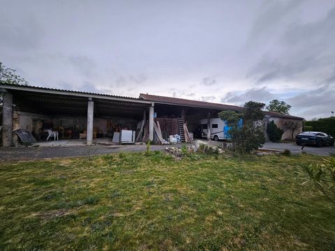 photo no. 11