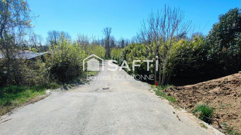 photo no. 6