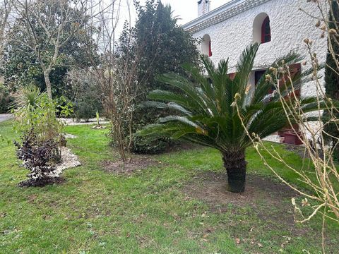 photo no. 2