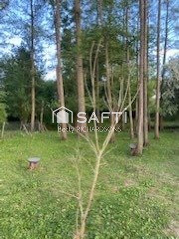 photo no. 18