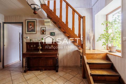 photo no. 5