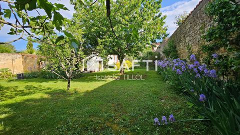 photo no. 13