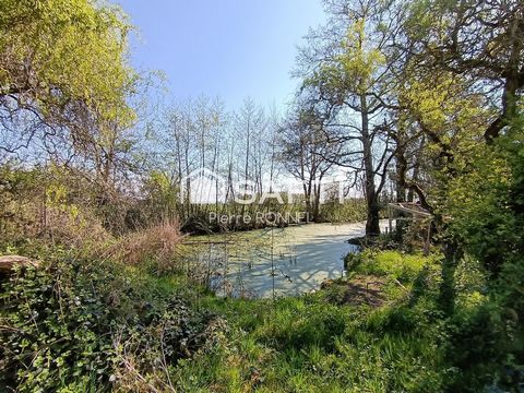 photo no. 9