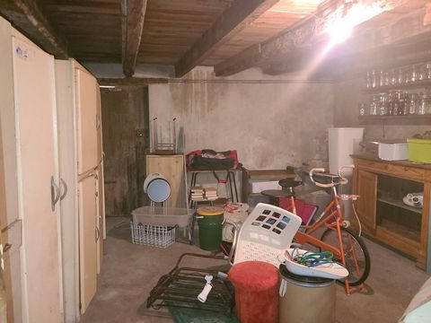 photo no. 11