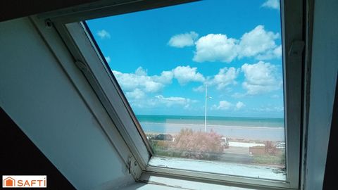 photo no. 12