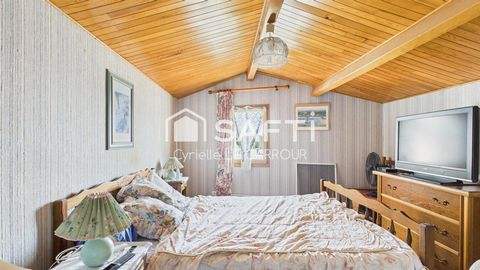 photo no. 13