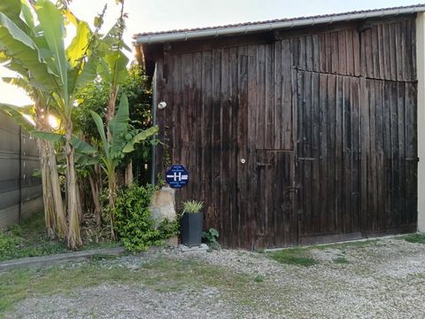 photo no. 15