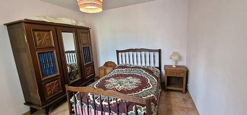 photo no. 12
