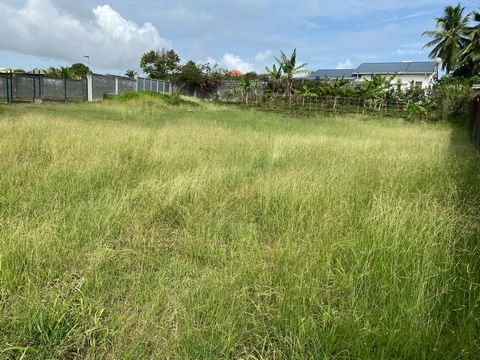 TERRAIN VIABILISÉ PRÊT À BÂTIR BAIE-MAHAULT
