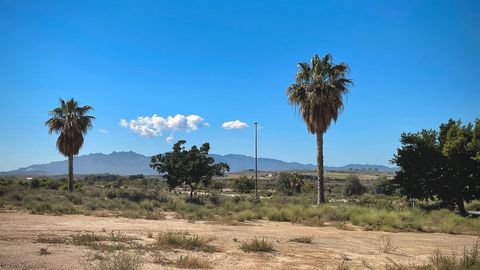 Located in a prime position within La Cabuzana, an exclusive villa neighbourhood between Vera Playa and the centre of Vera, this 1,164 m² south-facing plot offers an excellent opportunity to build your own villa in a tranquil residential area, while ...