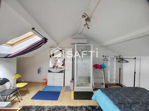 photo no. 11