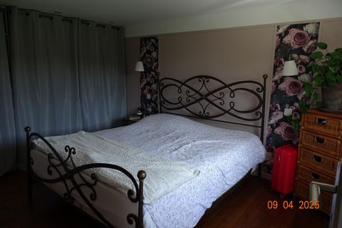 photo no. 3