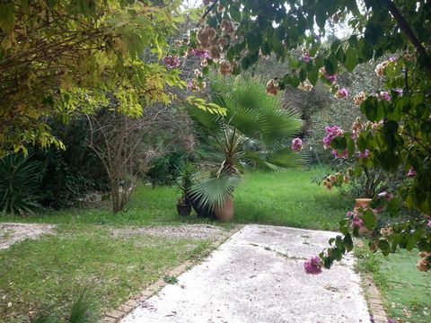 photo no. 10