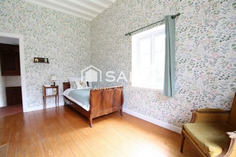 photo no. 6