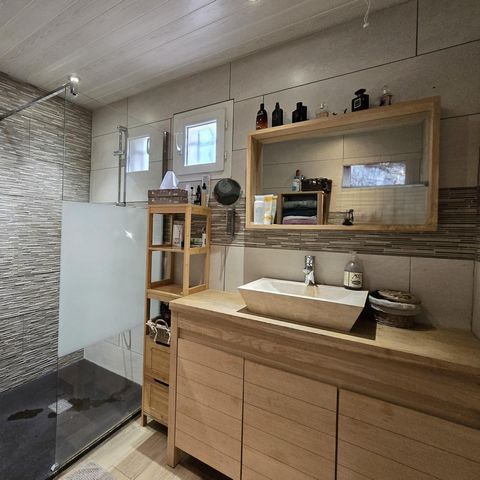 photo no. 9