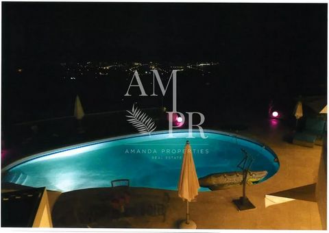 photo no. 41