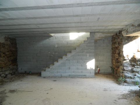 photo no. 2