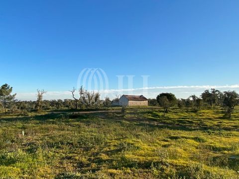Plot of land, with 47.9 hectares, available for a tourism project, located near Melides in Adregão do Pinheiro, Grândola. The property includes a pre-existing structure with a gross construction area of 105 sqm and an agricultural building with a gro...
