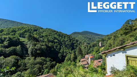 A15642 - Large building, former presbytery, 12km from Foix, a XIII century village, very touristic, in the Ariege Pyrenees. Built with old-fashioned methods and renovated over the years, you will be charmed by its old stones, its exposed beams, its p...