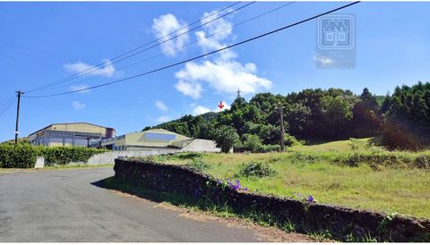 Grote rustieke grond te koop, met 10.120 m2 totale oppervlakte, gelegen tussen de parochies van Pico da Pedra en Rabo de Peixe, naast de weg die de stad Ponta Delgada verbindt met de stad Ribeira Grande. Dit is grond gelegen in een industriegebied (v...