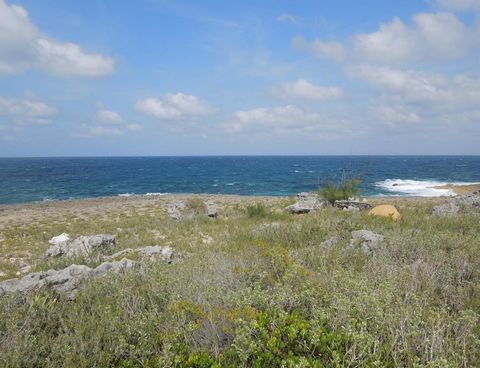 This large elevated property is located in the quiet Whale Point Estates Subdivision, North Eleuthera, Bahamas. At ground level there are spectacular views of the Atlantic Ocean and Bottom Harbour. It is less than 10 minutes from World Famous Harbour...
