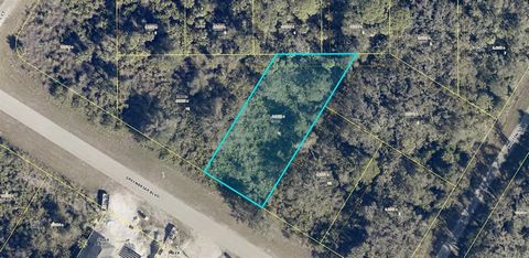 A VACANT LOT IN LEHIGH ACRES in LEE COUNTY!!!